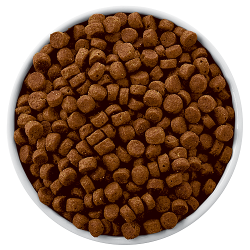 hills derm defense 11.3 kg