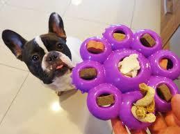 kong quest star pods large