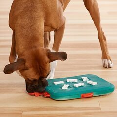Dog Casino Dog Casino