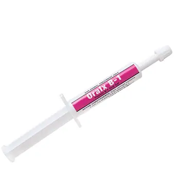 Oralx Vitamin B-1 Paste for Horses 6mL