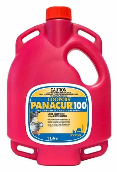 Clearance | Panacur 100 wormer 1 Litre for Horses and Cattle - Fenbendazole 100g/L - BB Oct 26