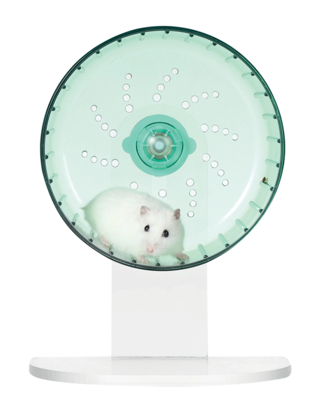 M-Pets Turbo Training Wheel for Small Animals Green