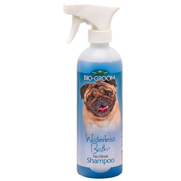 no shed shampoo