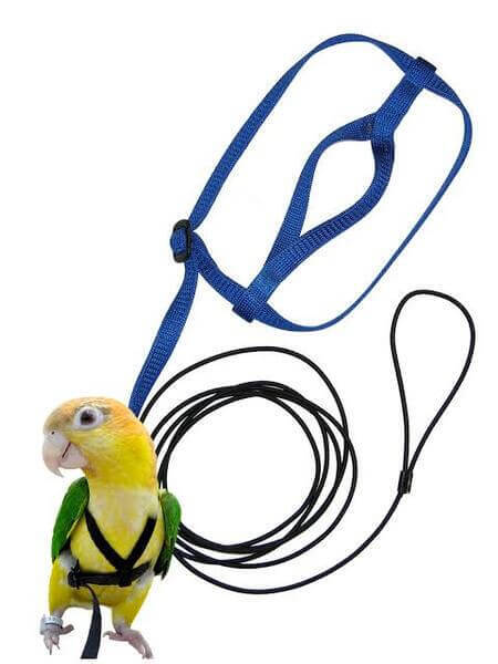 Budgie harness sales