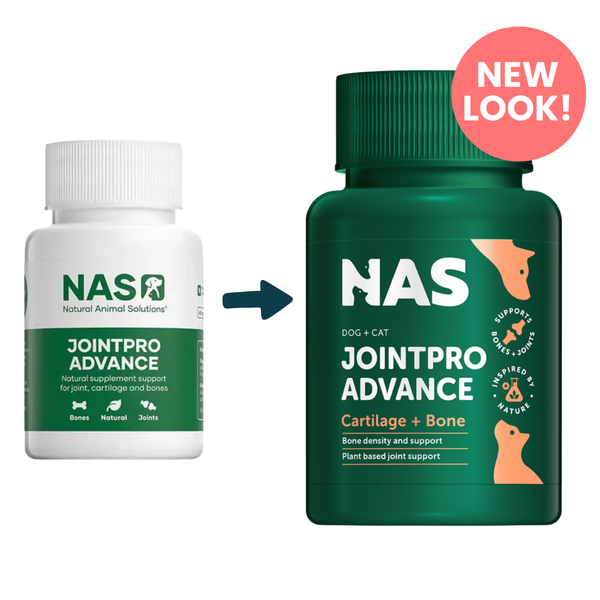 Natural Animal Solutions Joint Pro Advanced 60 Capsules