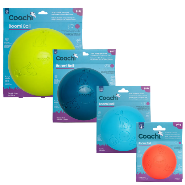 Coachi Boomi Ball for Dogs