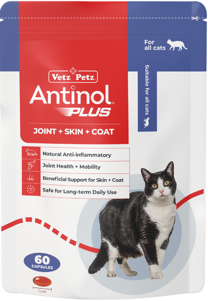 CLEARANCE! Antinol Plus for Cats - 60pk - BB end of Oct 26!!! 3 ONLY