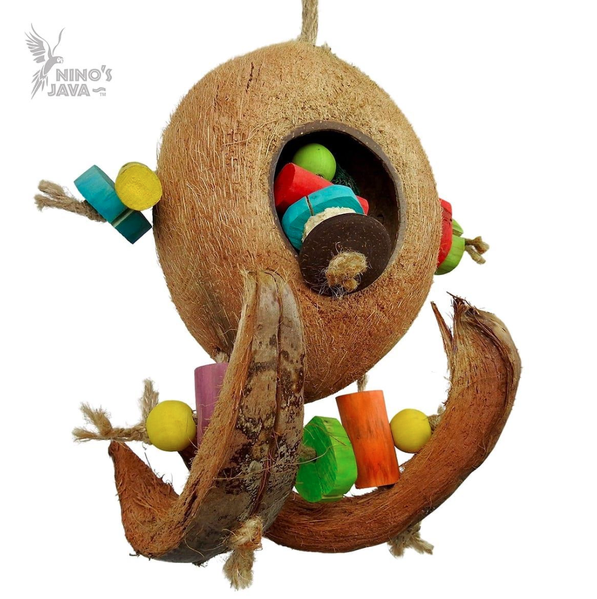 Nino's Java Coco Surf Coconut Foraging Bird Toy