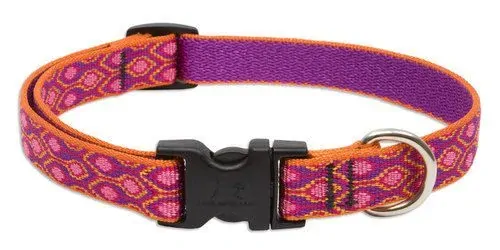 Lupine 12-20 Large Dog Collar Alpen Glow 1 inch thick