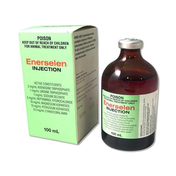 Ausrichter Enerselen Injection 100m 