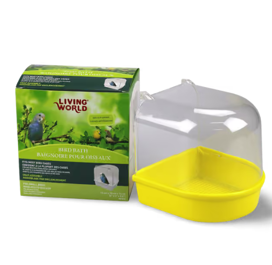 Living World Outside Bird Bath