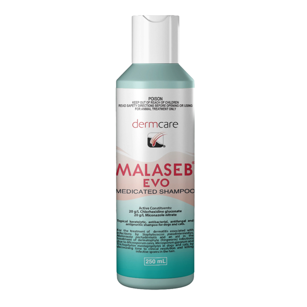 Dermcare Malaseb EVO Medicated Shampoo for Dogs and Cats 250ml