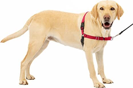 Buy Gentle Leader Harness Large, Free Delivery*