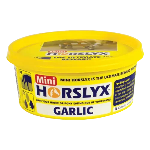 Horslyx Garlic Mini Vitamin and Mineral Lick for Horses 650g