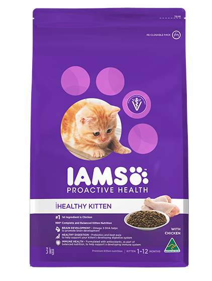 iams kitten & junior