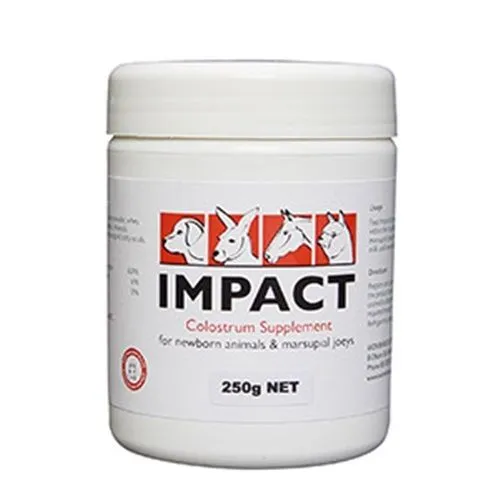 Impact colostrum 100gm 