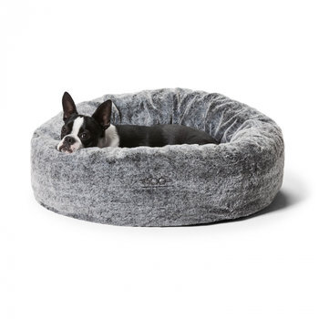 chinchilla bed