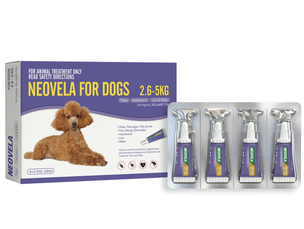 Neovela Flea And Worming for Small Dogs 2.6kg to 5kg - Purple