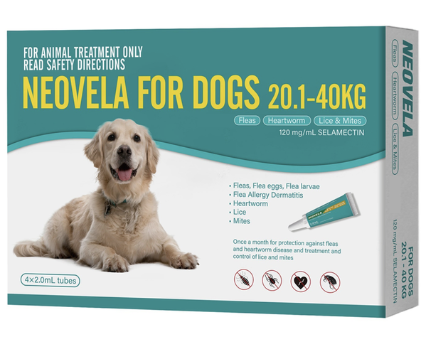 Neovela Flea & Worming for XLarge Dogs 20 - 40kg - Aqua