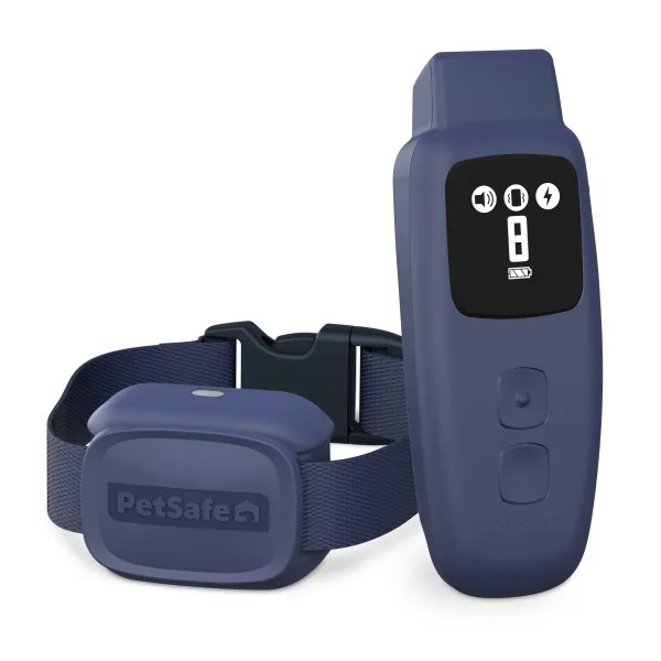 PetSafe Basic Dog Trainer with Remote PDT10-18035