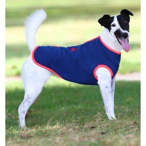 thermomaster dog coat