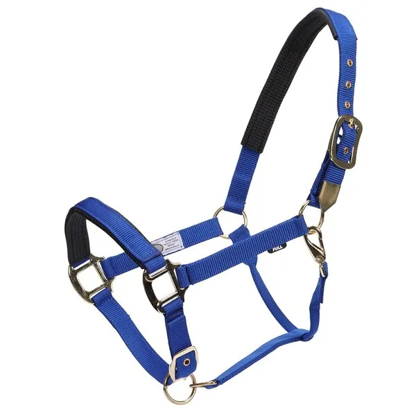 GG Australia Deluxe Nylon Halter - Blue Cob