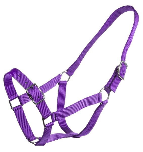 Rancher Stable Halter