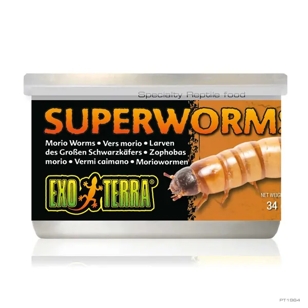 Exo Terra Canned Superworms for Reptiles 34g
