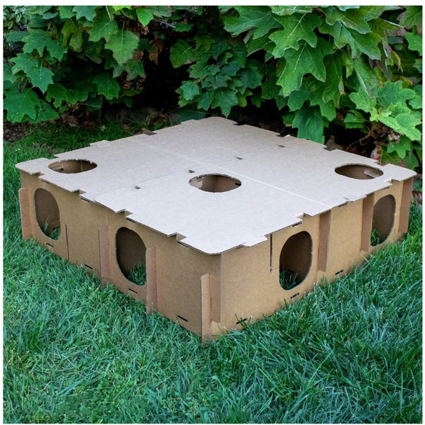 Play & Hide Maze Haven for Rabbits
