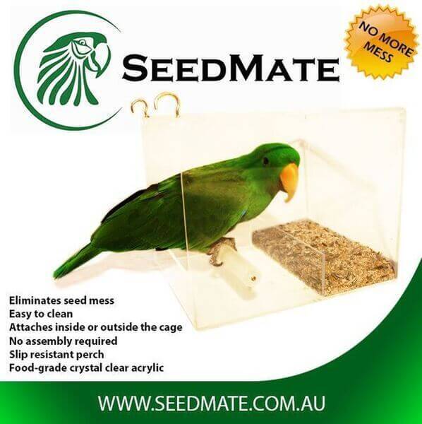 Seedmate Bird Feeder