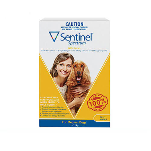 Sentinel yellow 6 clearance pack