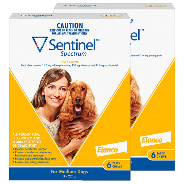 sentinel medium dog
