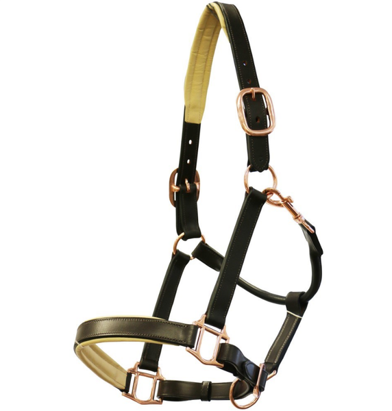 Jeremy & Lord Padded Leather Halter w/Rose Gold Fittings