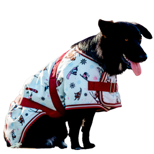 Thermo Master Supreme Dog Coat - Ski Slopes Print