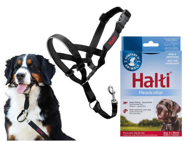 New Trix Halti 2024 jasterluis