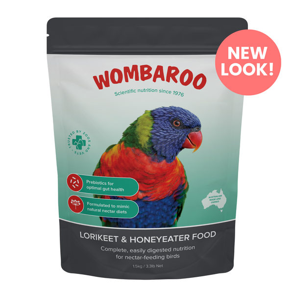 Wombaroo Lorikeet & Honeyeater