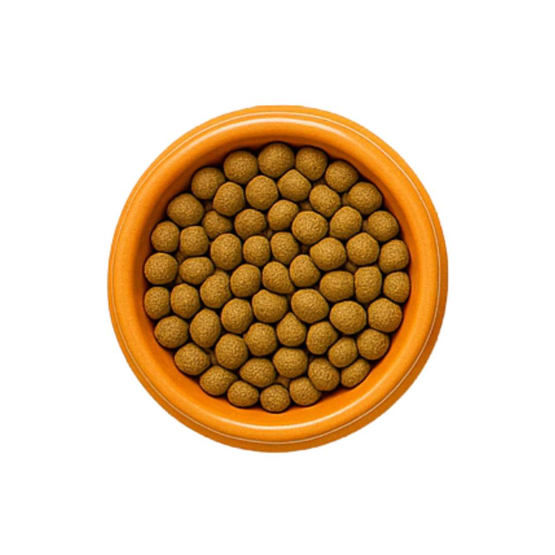 Dry Food