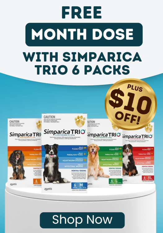 Simparica Trio Special