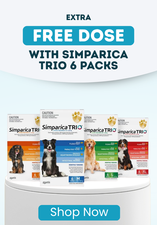 Simparica Trio Special