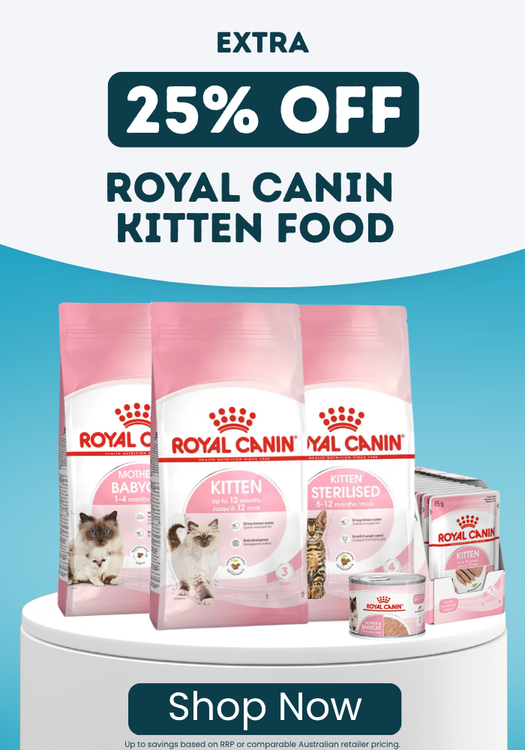 Royal Canin Kitten Special