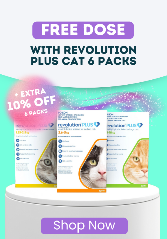 Black Friday Deal 10