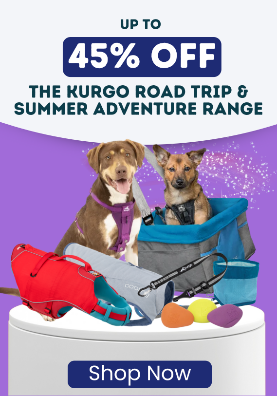 Black Friday Deal 11