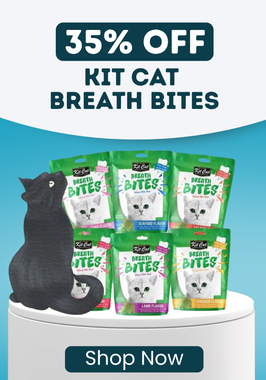 Kit Cat Breath Bites Special