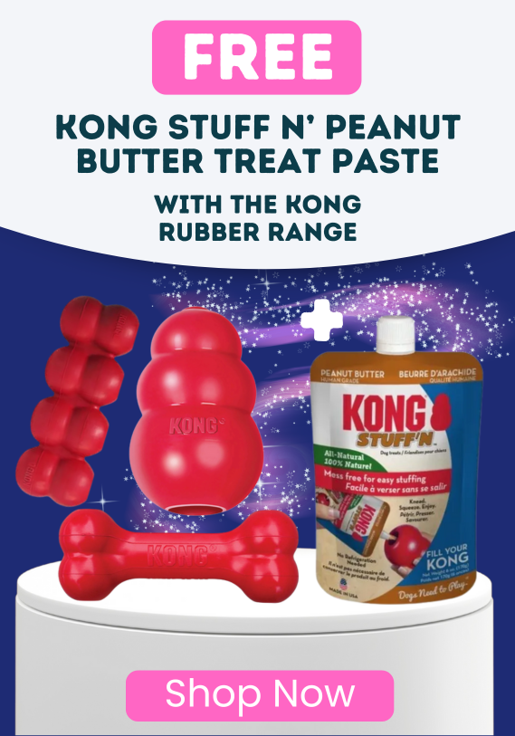 Black Friday Deal 12