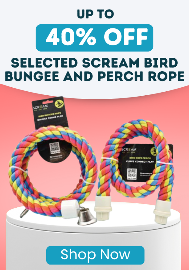 Scream Bird Bungee Rope Special