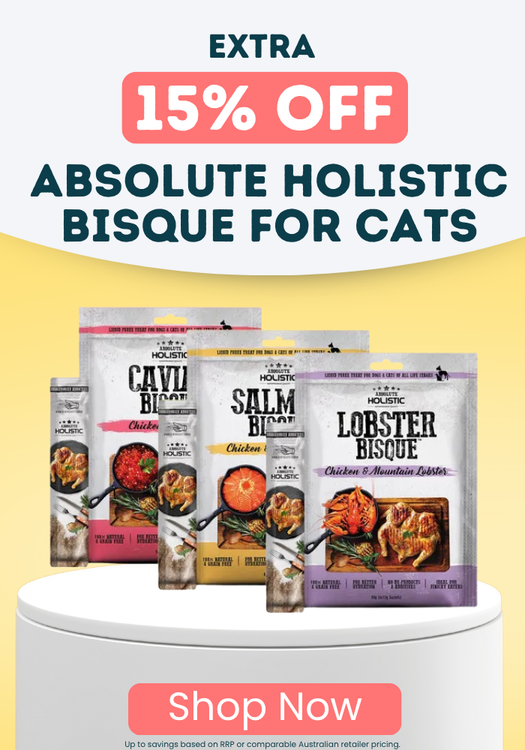 Absolute Holistic Bisque Special