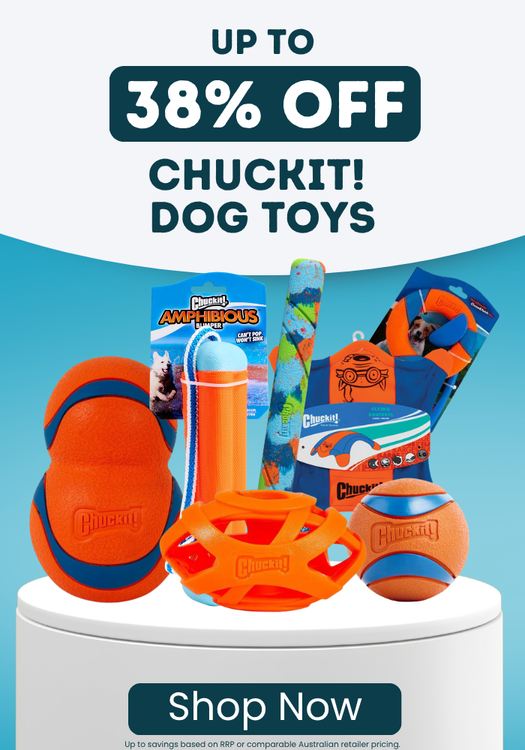 Chuckit Special
