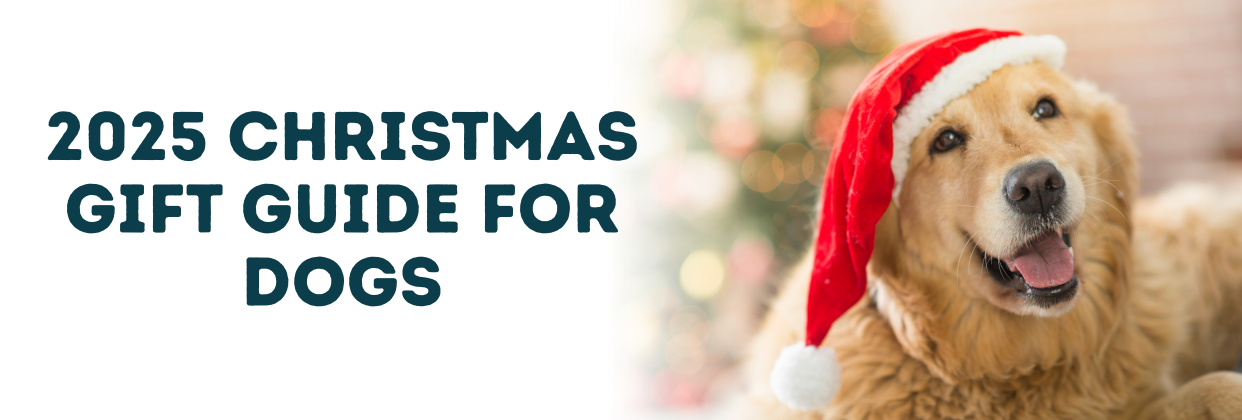 Christmas Gift Guide for Dogs — The Vet Shed