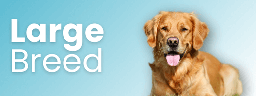 Large Dogs