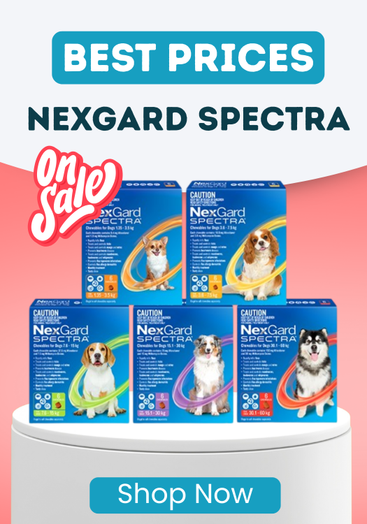 NexGard Spectra Special